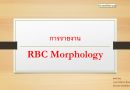 การรายงาน RBC marphology